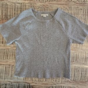 American Eagle Gray Top